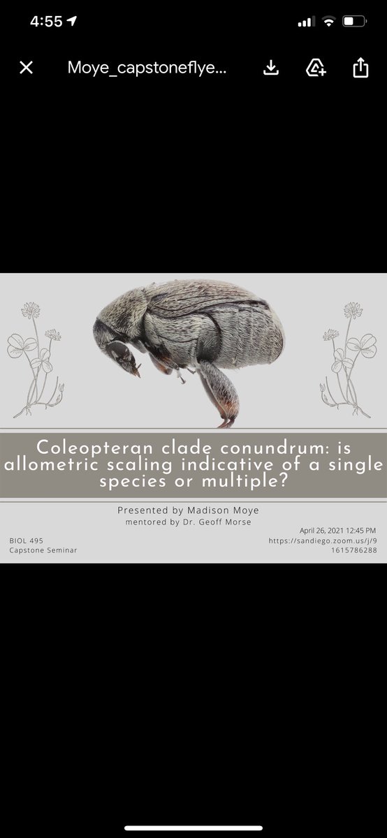 USDBiology's tweet photo. Come and watch these 4 senior capstones April 26th! https://t.co/GuIKaXTEiQ
