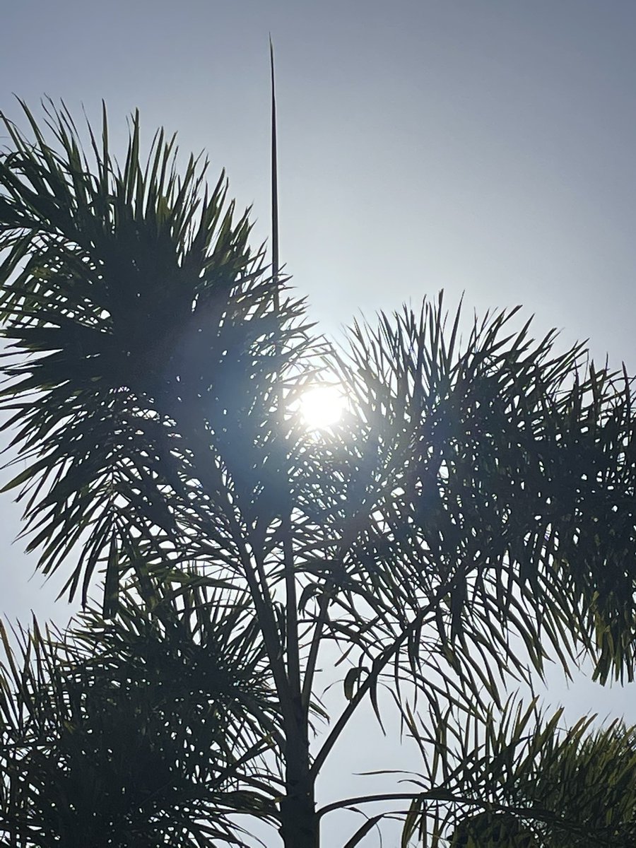 RogerLozanoR's tweet photo. #solplaya #playa #vallarta 🏝⛱🏖🩳🩱👙😍🙏🏻 https://t.co/E4x64eQQjd