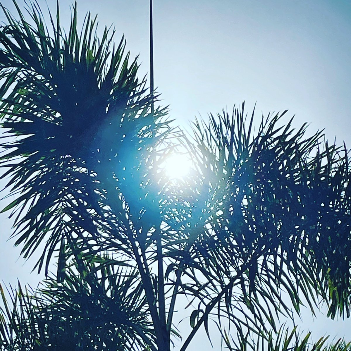 RogerLozanoR's tweet photo. #solplaya #playa #vallarta 🏝⛱🏖🩳🩱👙😍🙏🏻 https://t.co/E4x64eQQjd