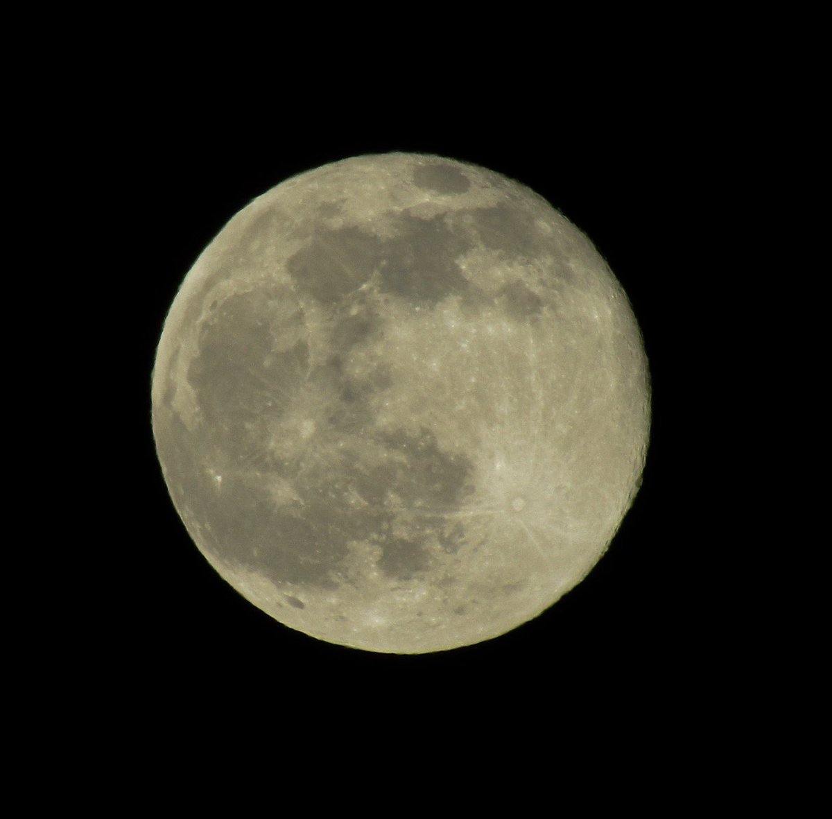 toni ✨ tweet media