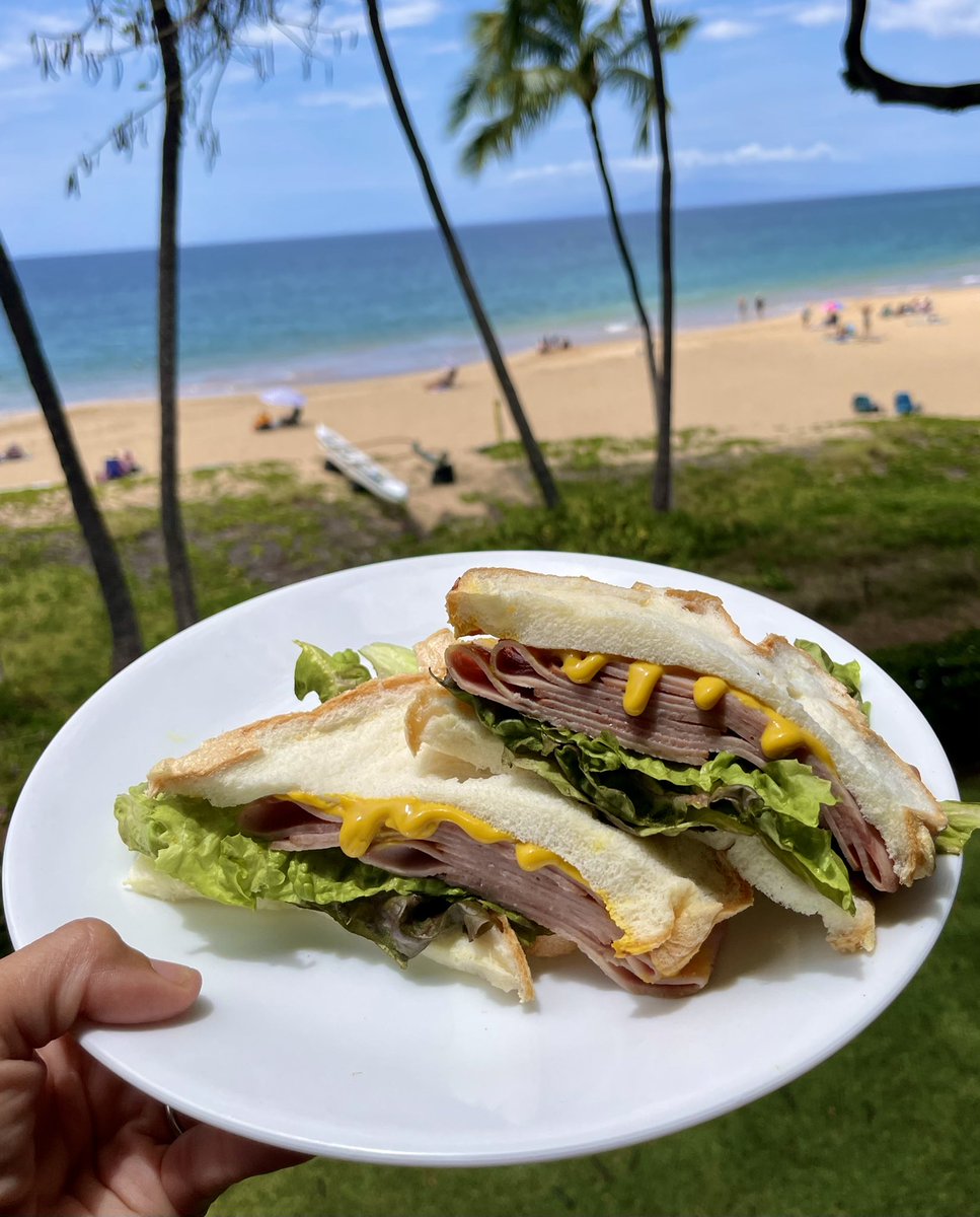 MariaEmmerich's tweet image. Today’s simple lunch... protein bread ham sandwich😋 #proteinsparingbread #ketobread #proteinbread