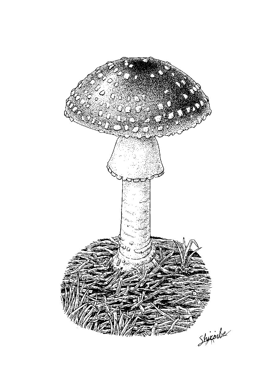 Twoucan キノコ絵 の注目ツイート イラスト マンガ コスプレ モデル