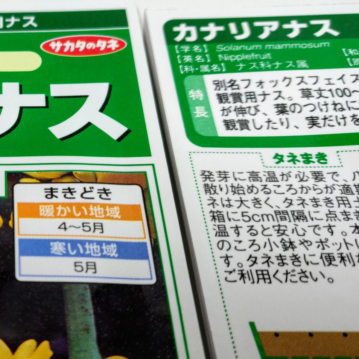 羽田七福いなりめぐり 公式 令和4年は中止となりました ピートバンが届いた 水琴窟で遊びに来た保育園児に見守られながら 種植え 100 井戸水で栽培予定 フォックスフェイス栽培記 フォックスフェイス カナリアナス ツノナス 五代同堂