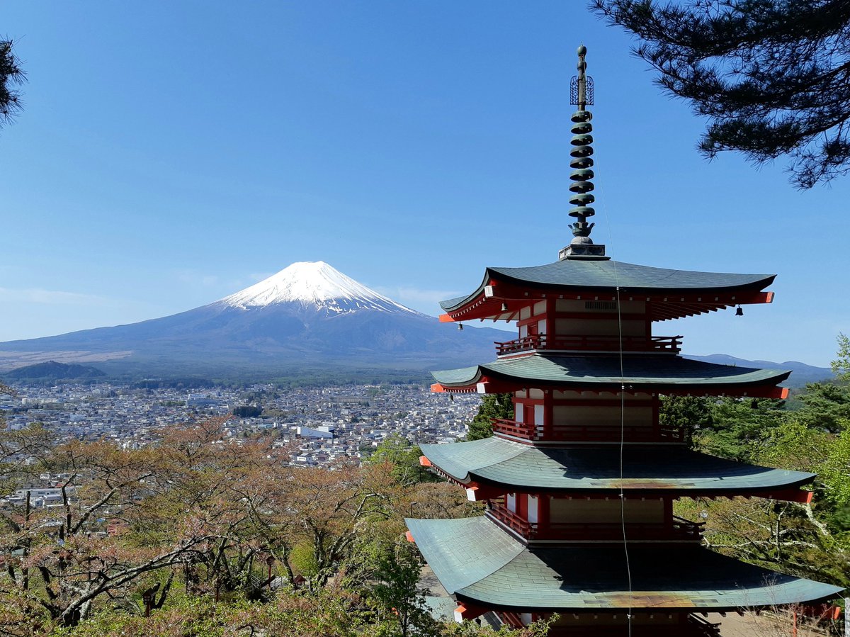 4月21日(水)
おはようございます。
新倉山浅間公園からの富士山です。
公園内も新緑の季節を迎え始めています。

#富士吉田　#富士山　#富士五湖　#新倉山浅間公園　#chureitopagoda