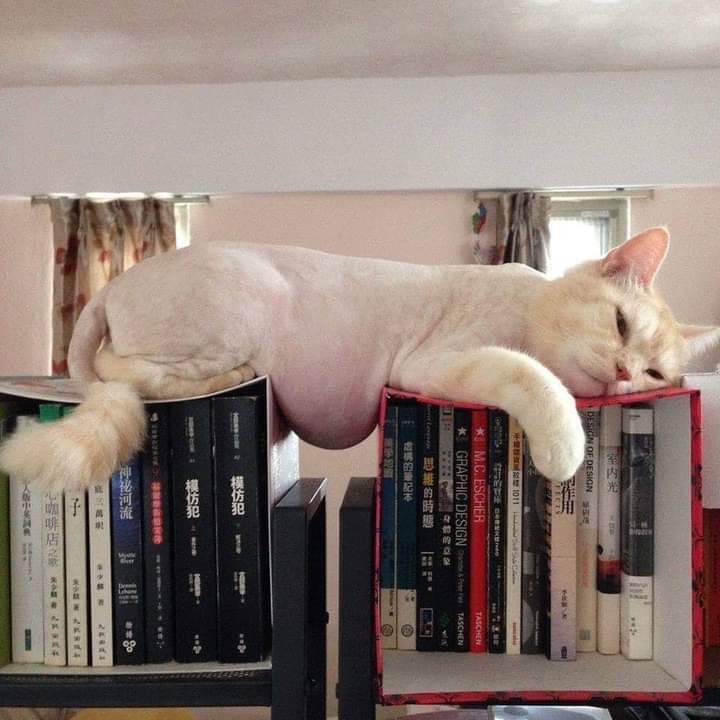 Puasa ke 9. Orang lain dah mula kurus.

Aku :