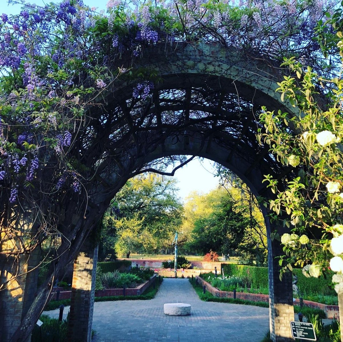 What’s your favorite scenic view at Brookgreen Gardens? With so much room to roam, sights to see, and ever changing flora, it’s hard to choose just one!
#fountainofthemuses #palmettogarden #wisteria #arbor #brookgreen #brookgreengardens #roomtoroam #scenic #vista #flora #sights