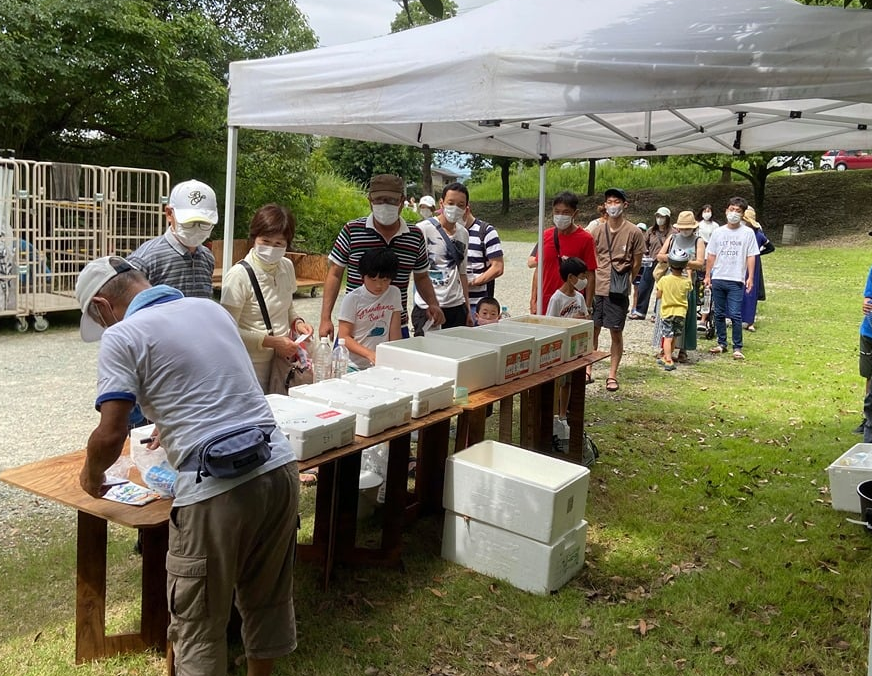 ムサシオープンデパート朝市 メダカの無料配布 4月24日 成魚を中心に 匹程度 1家族匹程度 10 00から 前日から水の汲み置きをお願いします ２リットルのペットボトルに24時間以上汲み置いた水を入れてお持ちください メダカ 朝市 加古川