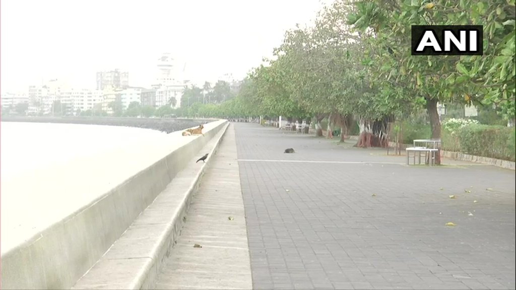 ndtv's tweet photo. Maharashtra government has imposed statewide restrictions till May 1st; Section 144 imposed across the state. Visuals from Mumbai's Marine Drive in Mumbai (ANI) https://t.co/ghk2U3iaop