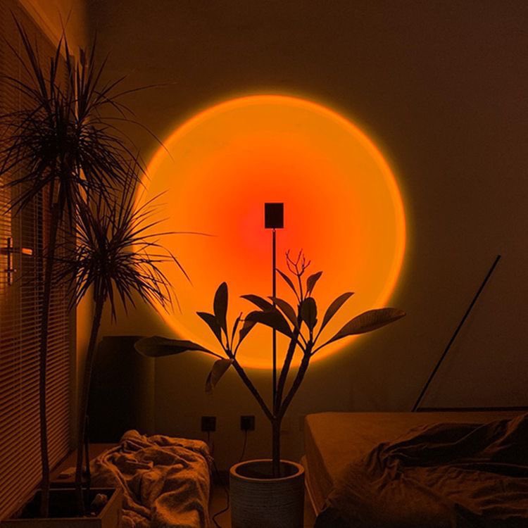 Or a sunset projector. Straight vibes  https://sunsetic.com/products/sunset 