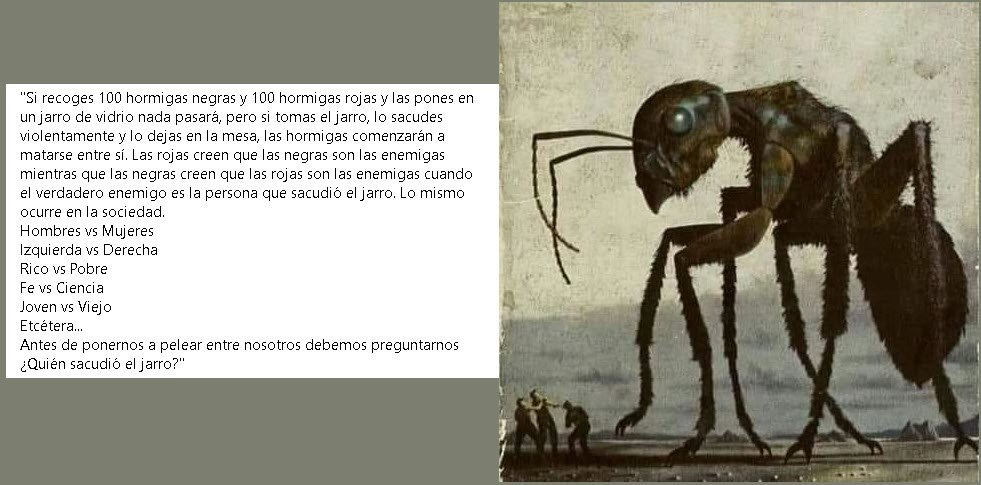 QUIÉN SACUDIÓ EL JARRO ❓❓❓