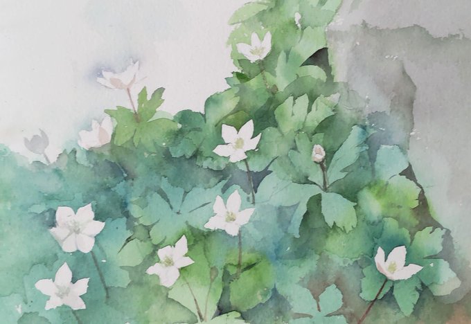 野の花を描くのtwitterイラスト検索結果
