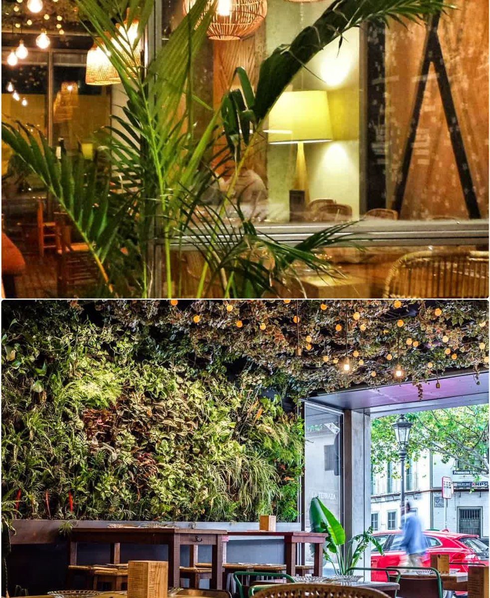 Hoy abrimos La Terraza!! Nos vemos luego? 😉

<a href="/LaVidaEnTapas/">La Vida</a> #alameda #Sevillahoy #TDSGastro #TdsActualidad #GastronomiaSevilla #food #foodporn #Seville #tapas #slowfood #Gastro #DuoTapas #LaTerrazaTapas #SameSameButDifferent