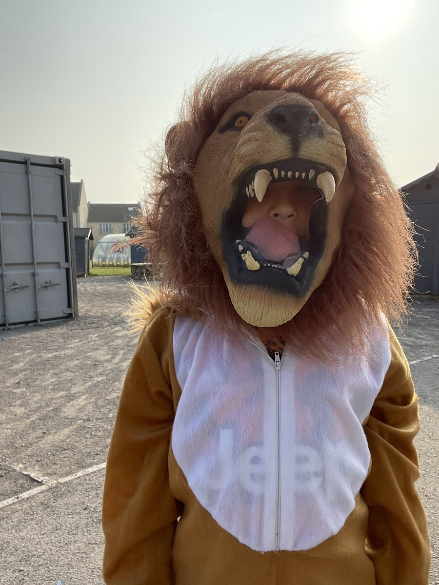 Jennylingard's tweet photo. Beware @Beaconrise1  I’ve just seen a lion.🦁. He’s escaped in the playground. https://t.co/yR1HKVx73m
