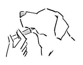 【告知】
愛犬との幸せなさいごのために 俵森朋子
河出書房新社

コラム部分のカットイラストを何十点も描かせていただいた本が予約開始になっています。
内容のこともあり、たくさんの犬種を描かせていただきました。
※表紙と本文のエッセイ部分は別の方のイラストです。
https://t.co/ZGktmhJW15 