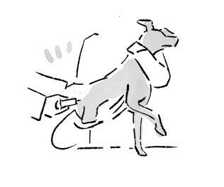 【告知】
愛犬との幸せなさいごのために 俵森朋子
河出書房新社

コラム部分のカットイラストを何十点も描かせていただいた本が予約開始になっています。
内容のこともあり、たくさんの犬種を描かせていただきました。
※表紙と本文のエッセイ部分は別の方のイラストです。
https://t.co/ZGktmhJW15 