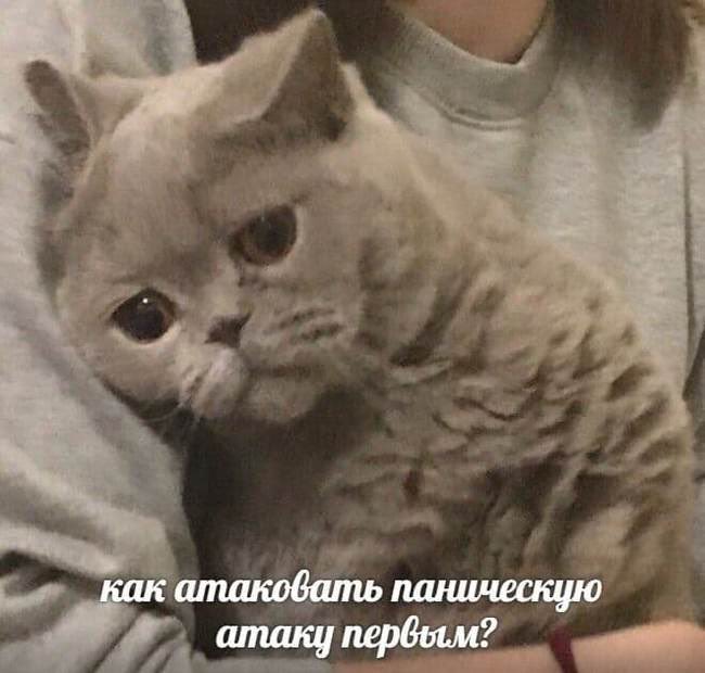 А давайте лучше замучу такой тред: самопомощь при панических атаках.