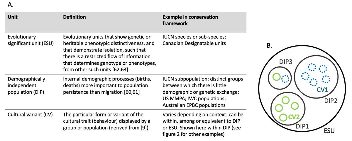 Animals learn things from each other, sometimes leading to different groups using different habitats and prey. To preserve the whole population, it’s important to understand and protect these different requirements 2/n