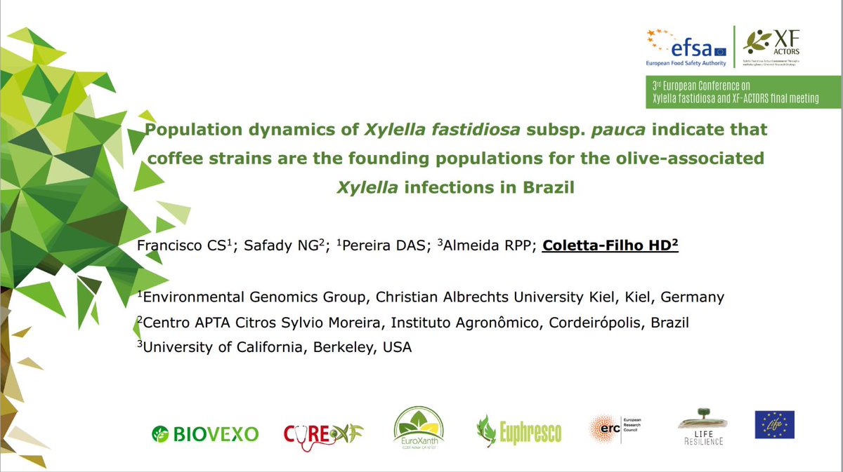 Plants_EFSA's tweet photo. How much the population of #Xylella fastidiosa subsp #pauca recently found in Brasilian olive trees is genetically closed to populations from coffee and orange trees? Learn more on the @xf_actors project 👉🏾https://t.co/LFH8sjjxwy
Then write questions below 👇🏾
#xylella21posters https://t.co/oxTNX8tlOC