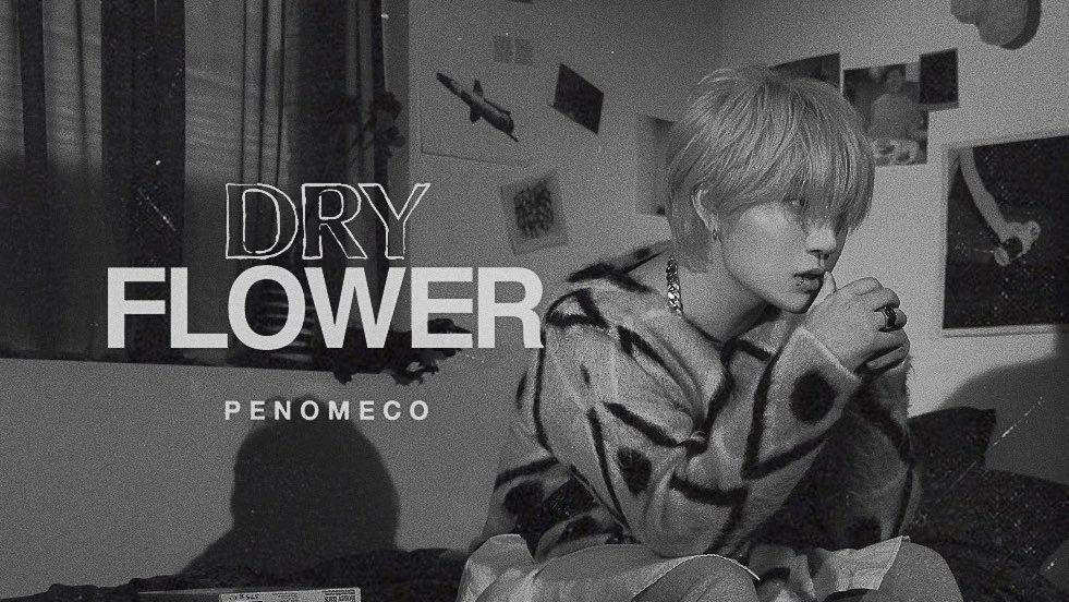 【匿名配送】PENOMECO DRY FLOWER