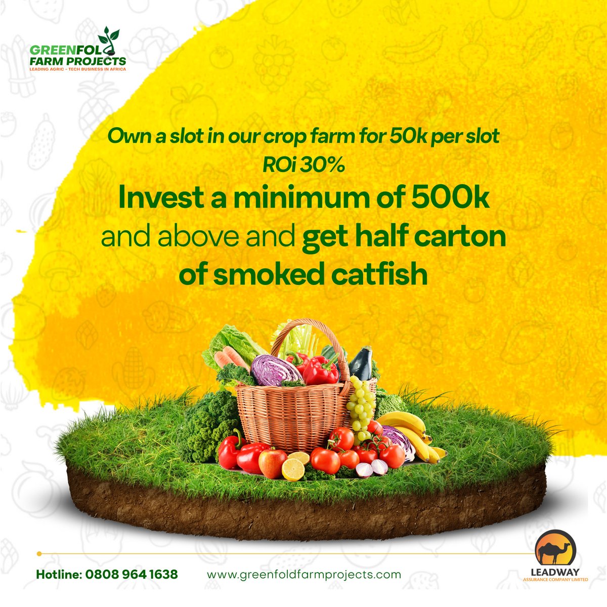 Greenfoldfarm's tweet photo. To invest visit https://t.co/wCdmDLqgxU or download our Greenfold Farm from google play store now.

#investment
#agric
#invest
#foodie 
#April https://t.co/COqe6ADfR9