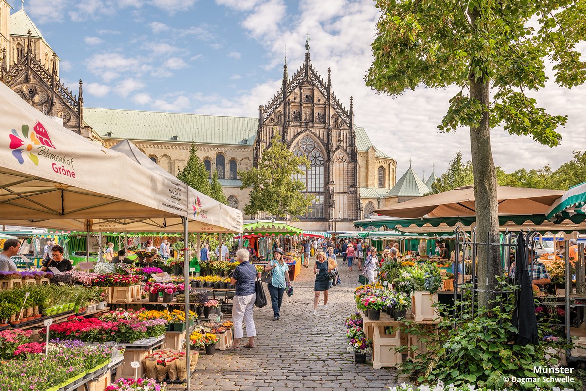 Wij hebben een leuk nieuwtje! CityZapper is de partner van het Duits Verkeersbureau (<a href="/germanytravelNL/">Ontdek Duitsland</a>) op de Nederlandse markt in de nieuwe, globale German.Local.Culture campagne!

Lees via onderstaande link ook ons persbericht ↓ 
press.zapperpr.com/cityzapper-en-…