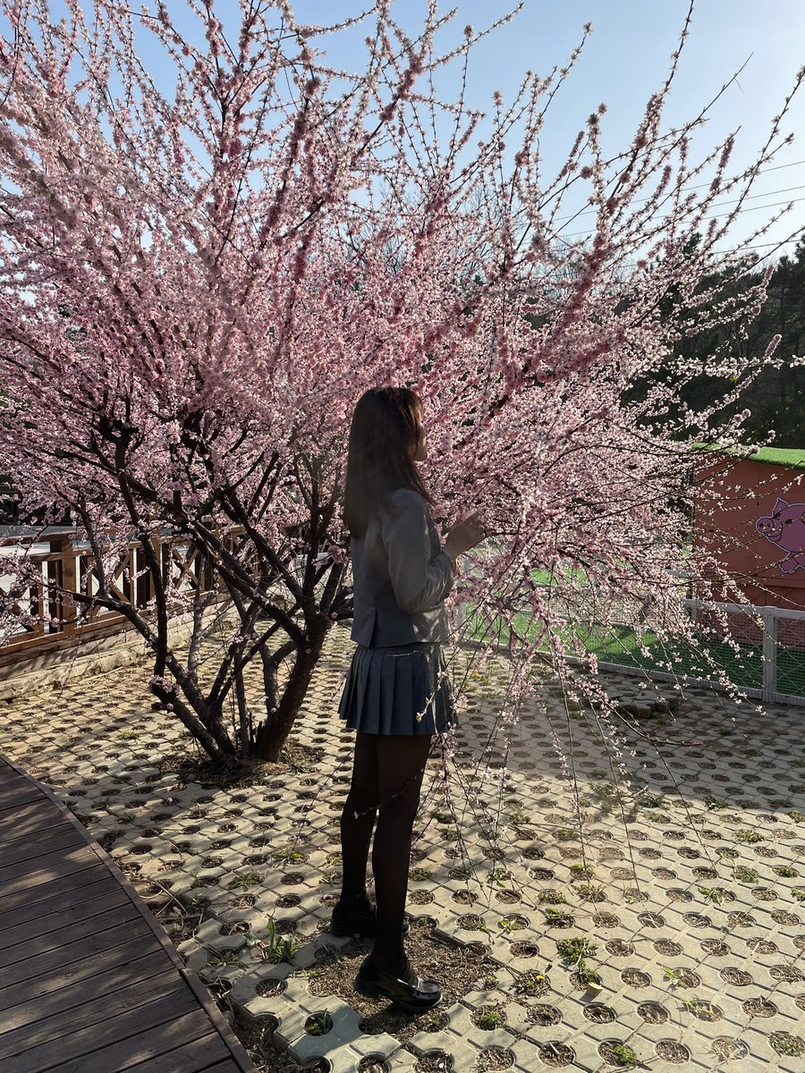 最近要回日本，在大连转机，可以陪陪大连的女票了 https://t.co/eqsd5je8Ag
