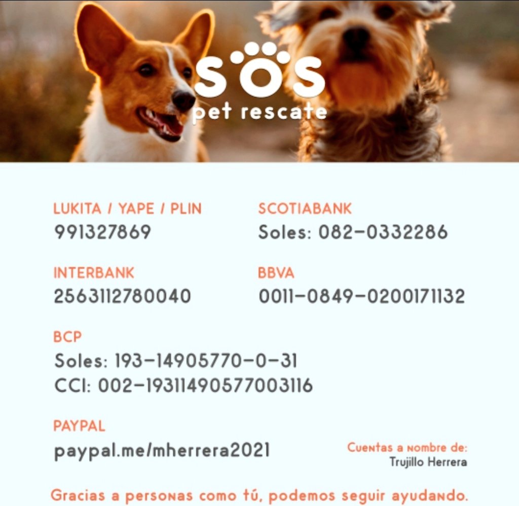 Amis, las chicas de @rescate_sos la están pasando muy muy mal. Hoy han tenido un terrible día. Dos de sus perritos rescatados han enfermado y consumió los ahorros.
Ya no tienen para el alimento ni medicinas de este mes. 
Busco 30 tuiter@s q puedan donar 10 soles 🙏