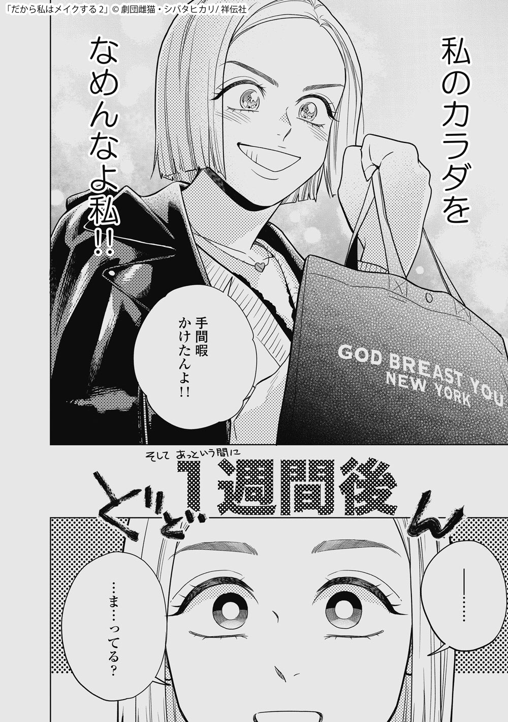 だから私はメイクする２　自分をいたわる暮らしごと　２冊セット　劇団雌猫 Amazon.co.jp: だから私はメイクする (フィールコミックス