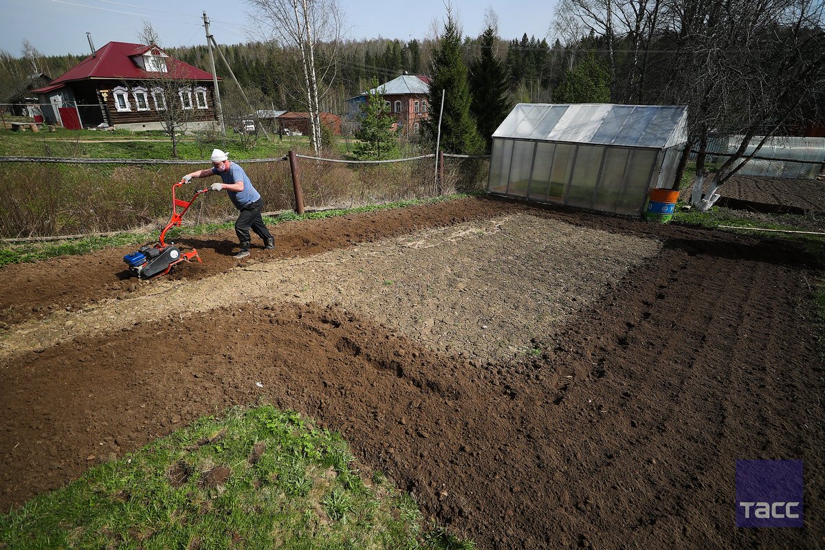 как дорожает земля в кп. будет ли дорожать земля. рынок земли украина. земля многодетным семьям в казани. земельные участки многодетным семьям карагай.