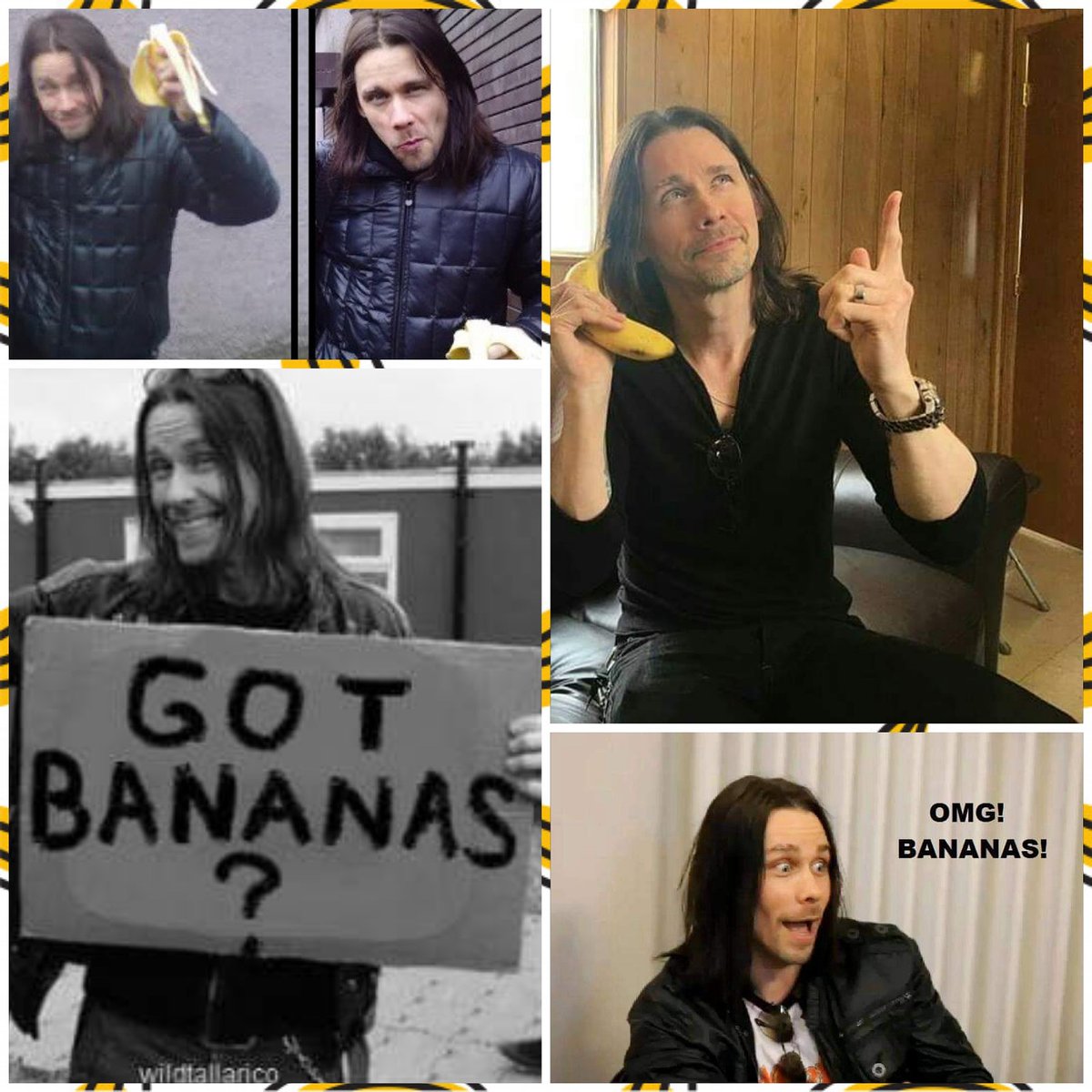 The third Wednesday of the month of April is World Banana Day! 🍌

Happy Banana Day! 🍌

💛🍌💛🍌💛🍌💛🍌💛🍌💛🍌

#banana #bananas #bananaday #worldbananaday #bananamyles #myleskennedy #amievergonnastopdoingthis #ofcoursenot