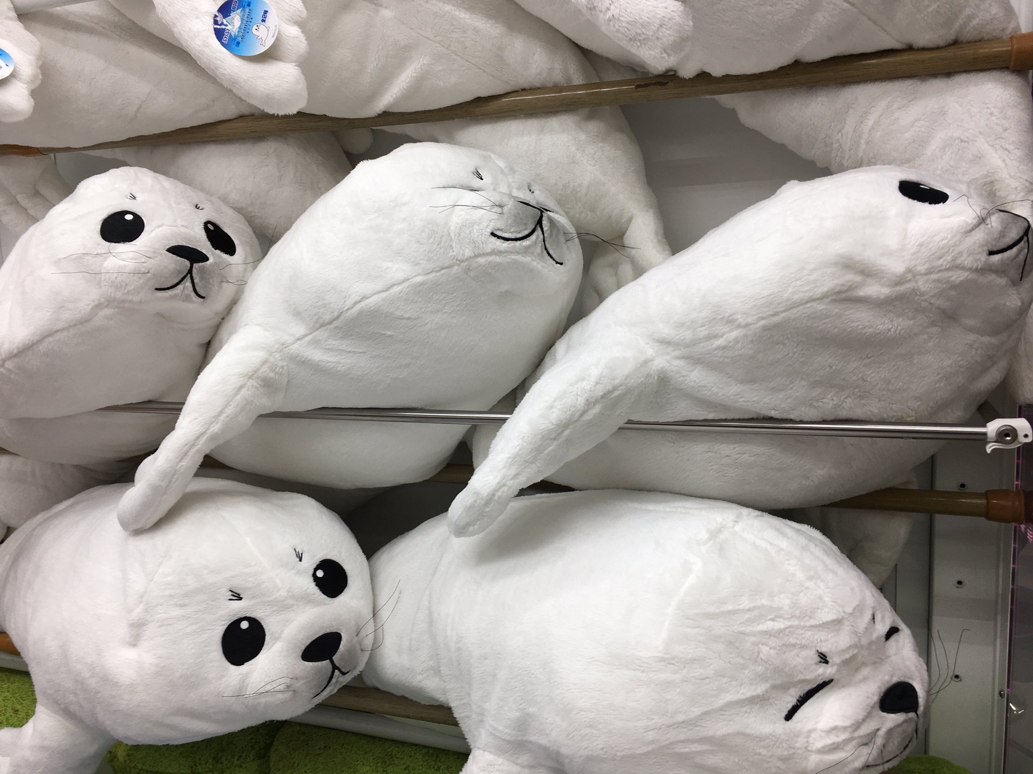 まるふわアザラシ BIGぬいぐるみ2個セット - メルカリ
