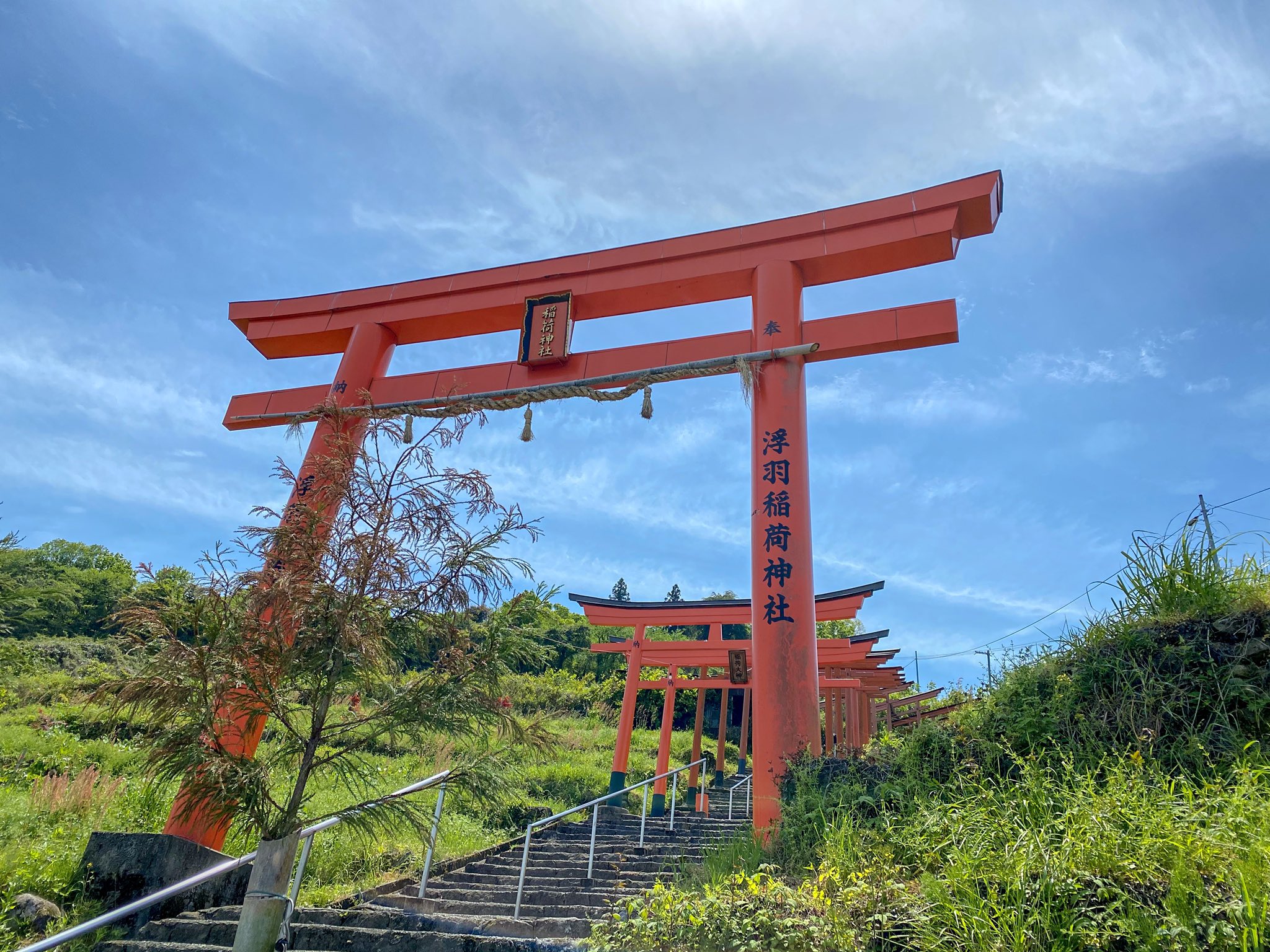 Shin 神社巡り 浮羽稲荷神社 博多駅から2時間くらい電車で行った田舎にありました もはや 大分県に突入する手前の うきは駅から徒歩15分 ㅤ 鳥居の数は 91基 すれ違ったおじ様は 72歳で この石段を登られてるなんて 元気すぎる ㅤ でも