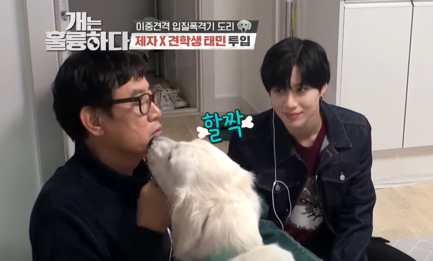 Kbs World Pa Twitter 明日 5 8 の ペットバラエティ 犬は素晴らしい ゲストは テミン Shinee 詳細は T Co Bjgp1ajqhd