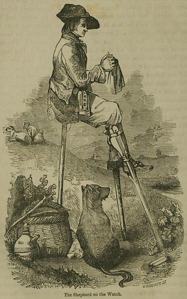 From 17C, shepherds in Landes region of France have used stilts as mini-observation towers & to traverse marshy ground ~ this photo is of a traditional folk performance in 1936 / & at R, older images of herding the sheep / & stilt-seated shepherd knitting (woollies, obviously)