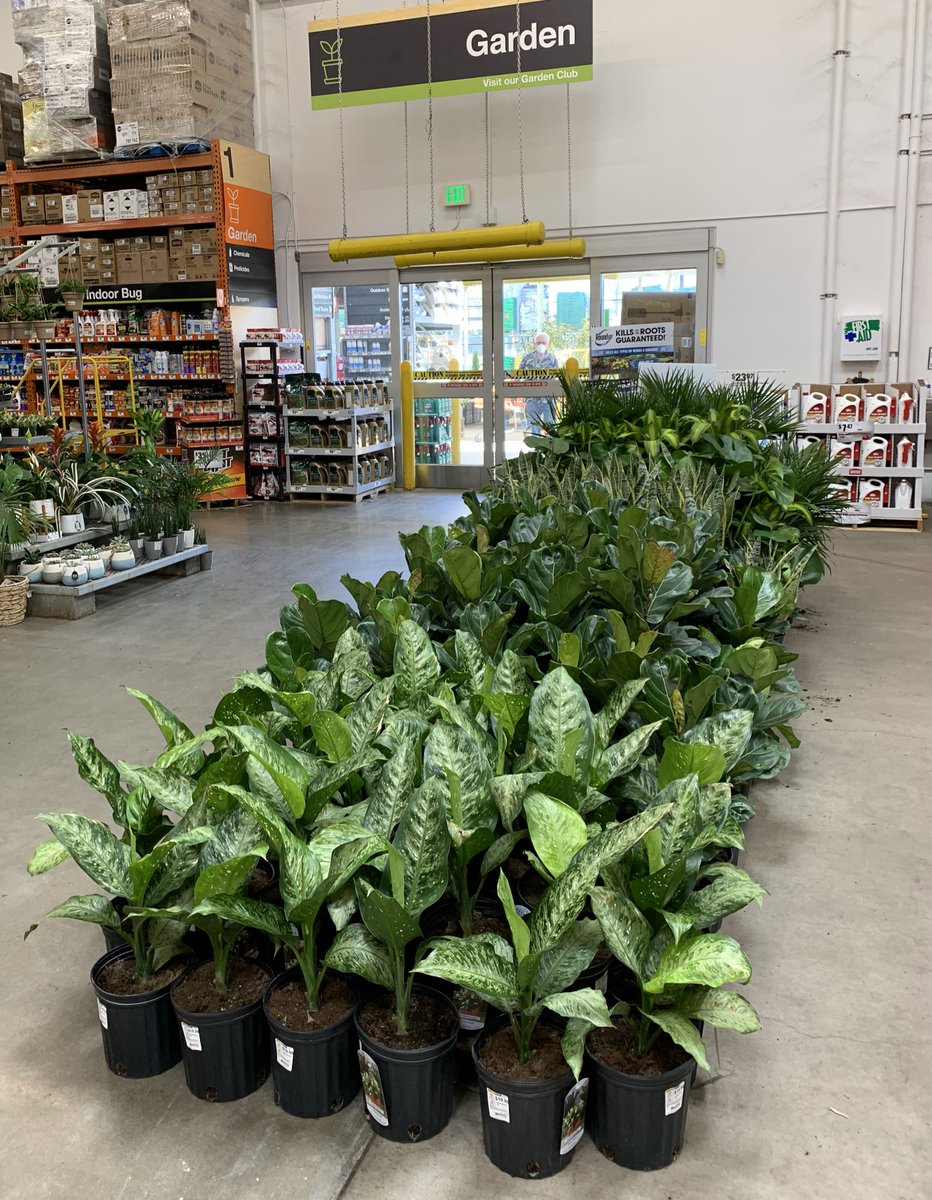 Geri Downs tweet media