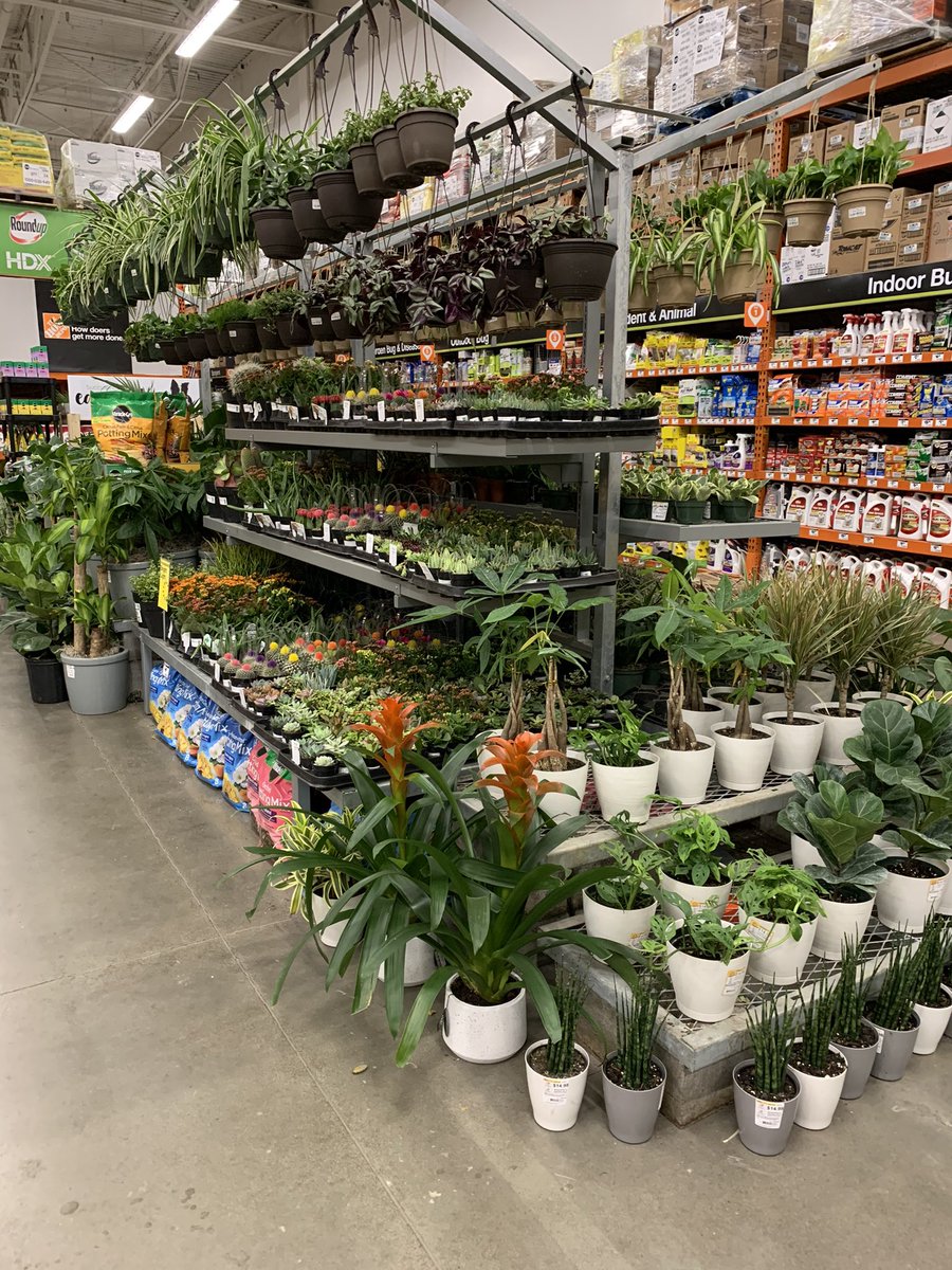 Geri Downs tweet media