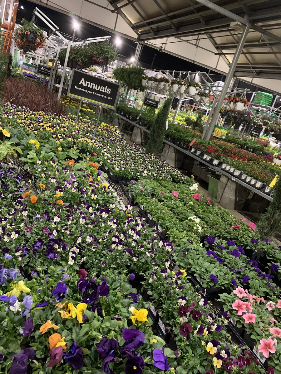 Geri Downs tweet media