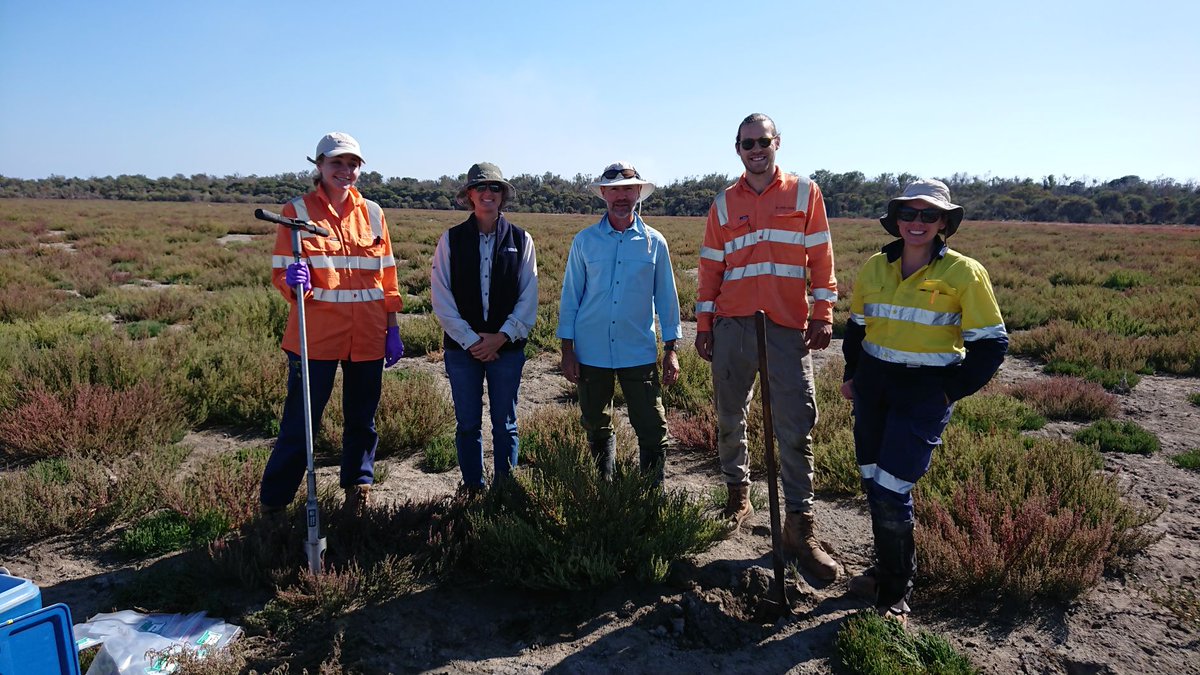 Last few days of soil sampling work at Lake McLarty underway #SavingLakeMcLarty Stantec's Bronwyn Smedley is leading the field analysis pictured here with Senversa staff and DBCA's Heidi Bucktin. <a href="/StateNRMProgram/">State NRM Program WA</a>