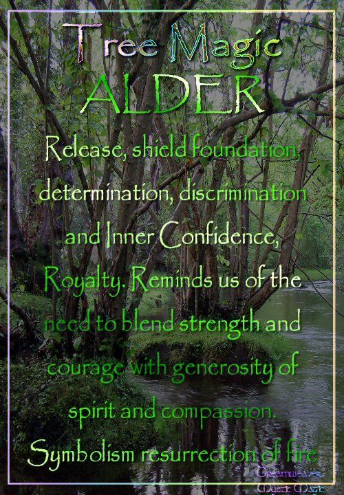TheCemetress's tweet photo. Have a Great Day Everyone
The Alder Tree 🌲🌚🌠✌🏽🖤
If you felled a sacred Alder, it was said your house would be burned to the ground...
#Fearn
#Eostar
#FireAndWater
#MagicalProperties
#Release
#WitchWitchYoureAWitch
#TreeHeroes
#AlnusGlutinosa https://t.co/xOKYlLQ4dw