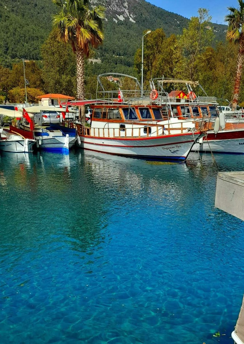 Günaydın. ☀️
Güzelliklerle ve sevgi dolu bir gün olması dileğiyle... 
💙🍃💦🌴💦🌴💦🍃💦🌴💙

📍Akyaka