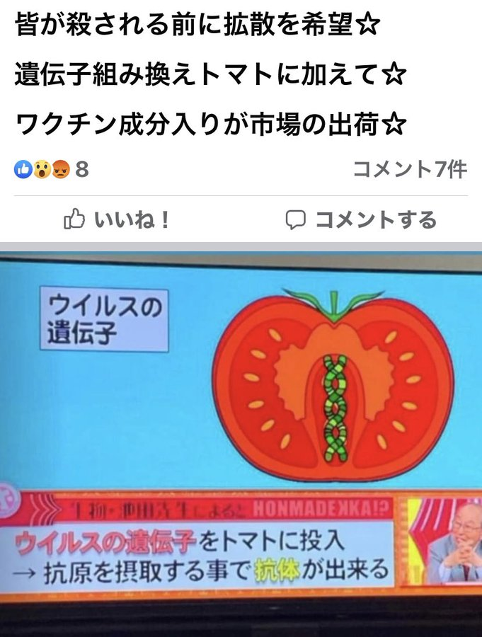 Sarah サラ へえ ほんまでっか 見なかったけど コレほんまでっか のほほん ほんほんさんのブログ まったく誰が言い出したのか 何のウイルスの遺伝子をいれるというのかな 真面目にトマトを作ってる人への営業妨害では まてよ