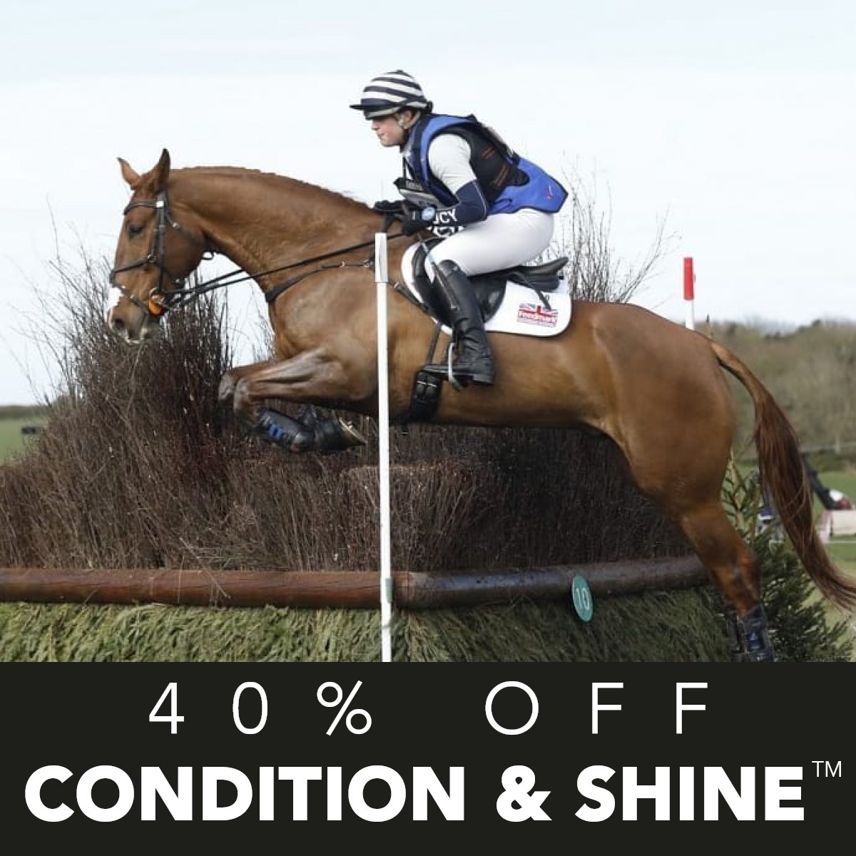 40% OFF Condition &amp; Shine™ until Monday with code: CONDITION

Ideal for a variety of horses, Condition &amp; Shine™ is high in oil, amino acids and antioxidants for topline, condition and a shiny coat.

Condition &amp; Shine™ - fuel a sparkling performance!

feedmark.com/en/condition-s…