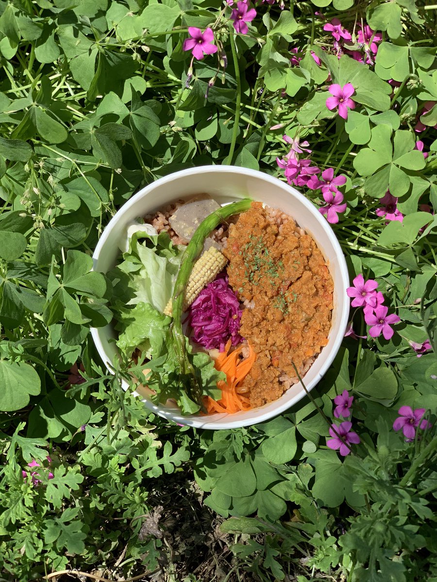 レクサンドカフェ