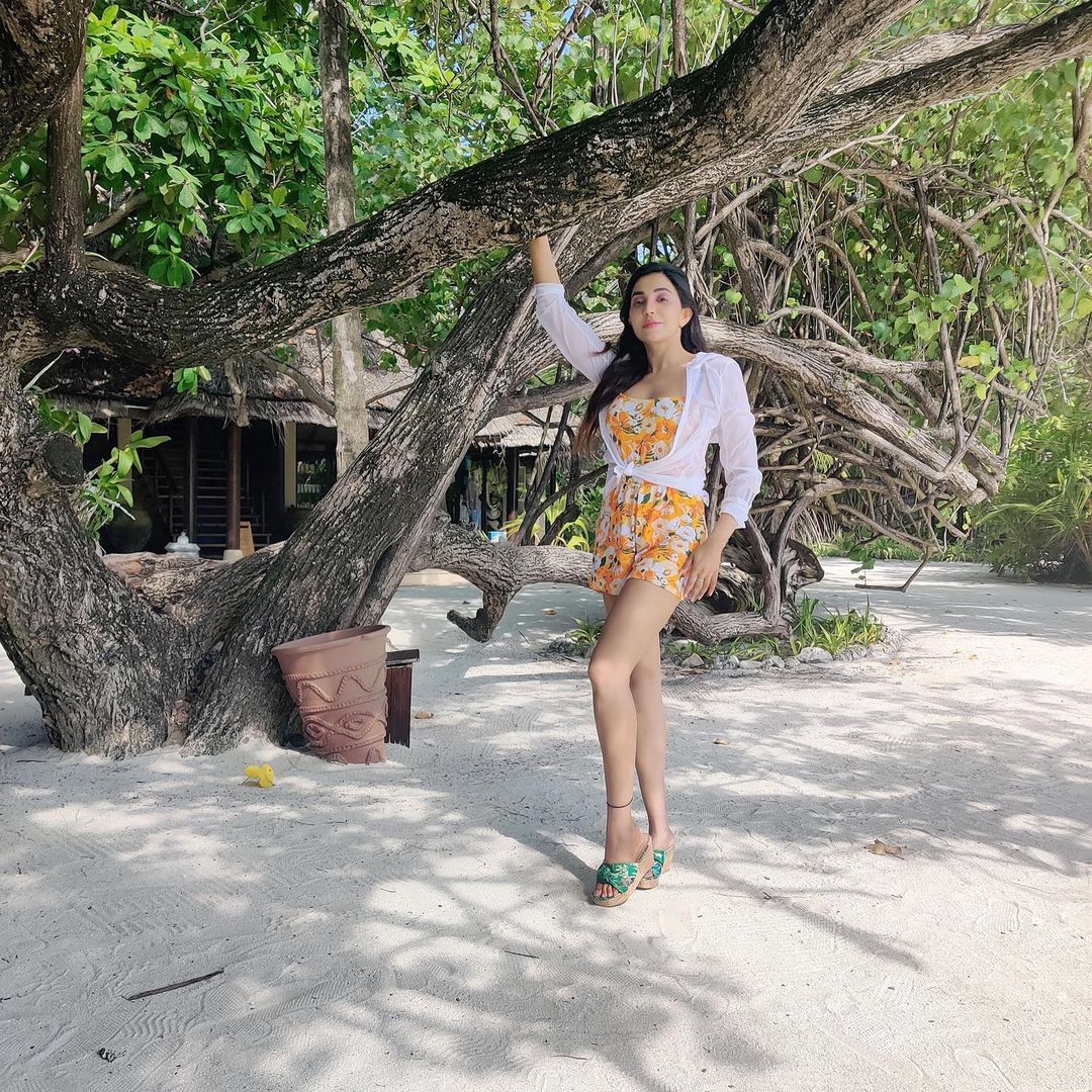 EzehMdOUcAA-YSC?format=jpg&name=medium