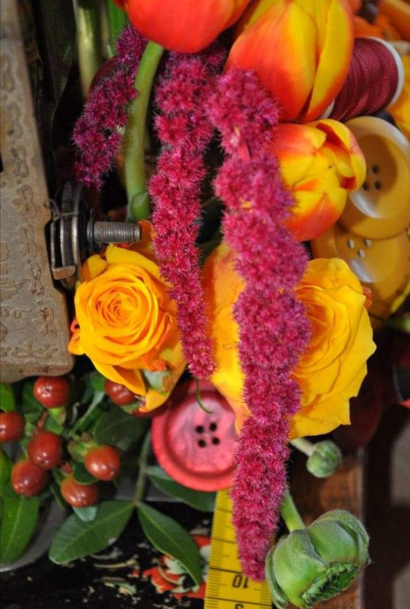 SabineSmit2's tweet image. #bloemstuk #naaimachine #bloemen  #rood #oranje #geel #bloemschikken #freubelen #handmadewithlove #CreatebyS #followonfacebook #followoninsta 

facebook.com/10145704814600…