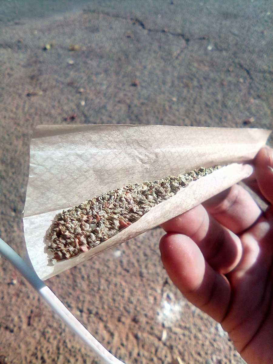 staTs501's tweet photo. Good Morning Stoners 💚🍃🔥
#Mmemberville 
#420 
#WCWednesday https://t.co/8140CZCehI