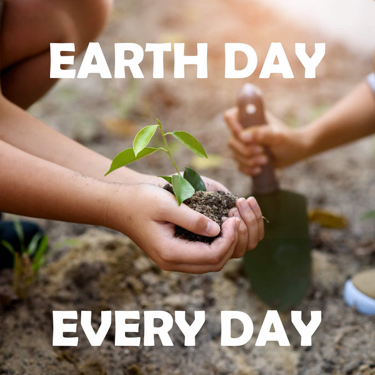 ReptileEnc's tweet image. Let&apos;s celebrate #EarthDay every day

Planting ONE tree can offset 7 tonnes of carbon in its lifetime.
Each person would need to plant ONE tree EVERY year to offset their personal Carbon Emissions during their lifetime.

Join us as we try to improve Our Planet!