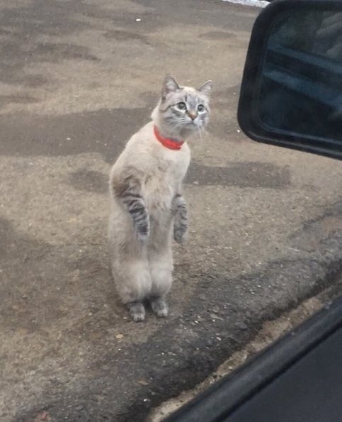 Quand c’est ton premier jour de stage au cabinet de médecine générale et que ton maître de stage te demande d’aller chercher le prochain patient en salle d’attente :