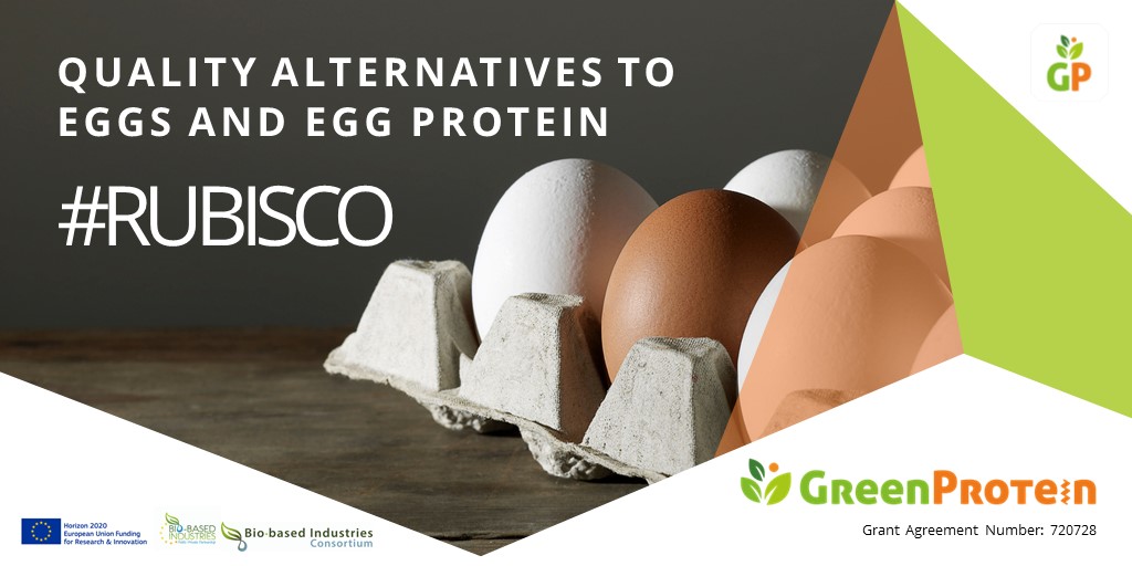 GreenProteinProject tweet media