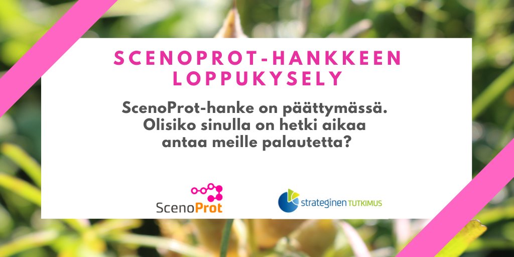 ScenoProt tweet media